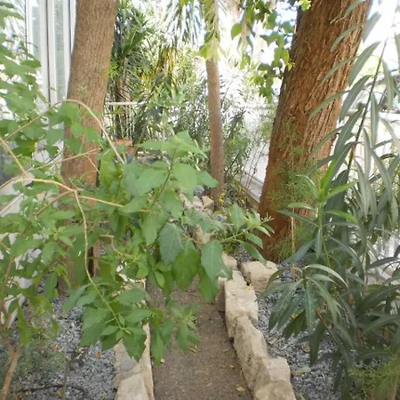 City Center Accomodation For Women - Free Bicycles Holiday home Limassol